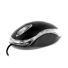Mouse Óptico USB Sencillo B100