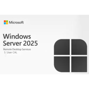 Windows Remote Desktop Services CAL 2025 Pack 5-Usr
